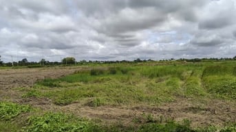 Bán đất 23.000m2 tại cụm công nghiệp Tú Phương , Tân An , tỉnh Long An