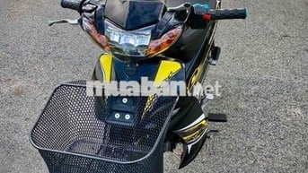 Thanh lý sirius kiểng