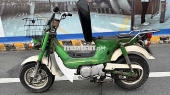 Chaly 81 xanh lá