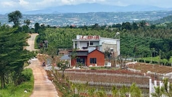 Đất Ven Đà Lạt Giá Chỉ 520 Triệu, SHR, View đồi Thông Mát Mẻ