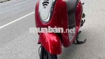 Xe scoopy 50 zin đẹp như hình
