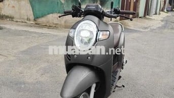 scoopy đẹp keng không trầy xước biển đẹp