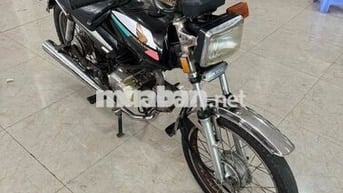 win nhật