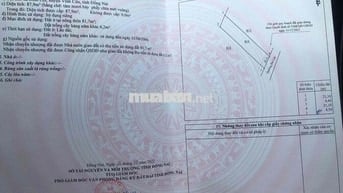 Đất Bình Lợi p. Tân Triều mới sát HL15 giá rẻ