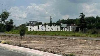 🔥 ĐẤT AN PHƯỚC – CƠ HỘI ĐẦU TƯ SINH LỜI 🔥