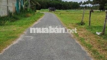 Bán đất 288m2 tại An Tịnh, Trảng Bàng, Tây Ninh, sổ riêng, 520 triệu