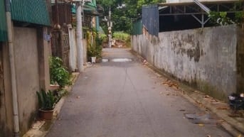 Bán nhà đất khu chia lô phố Nguyễn An Ninh Tương Mai Hoàng Mai