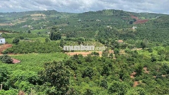 🔥 Bán đất thị trấn Nam Ban – view đồi núi yên tĩnh, thích hợp làm nghỉ