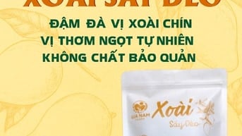 XOÀI SẤY DẺO GIA NAM FOODS - VỊ THƠM NGỌT, DẺO MỀM HẤP DẪN