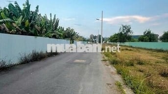 Thanh Toán chỉ 500tr Sở Hữu Đất mặt tiền Kinh Doanh Tại KDC Phước Tân