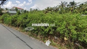 CƠ HỘI VÀNG: ĐẤT THỔ CƯ 90M² TP MỸ THO – GIÁ CHỈ BẰNG 1 CHIẾC XE HƠI!