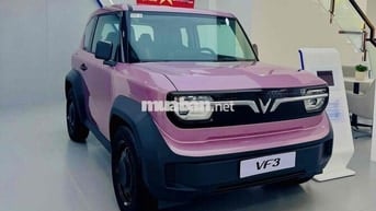 VinFast VF3 2025