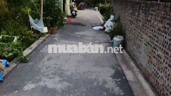 Bán đất Ngọc Động Đa Tốn - Ô tô đỗ cửa,hàng xóm Ocean Part 1 .