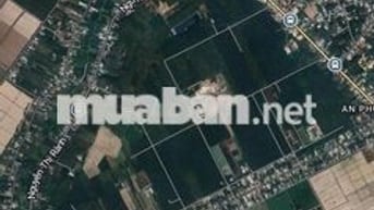 Bán gấp đất mặt tiền đỗ thị có an phú củ chi