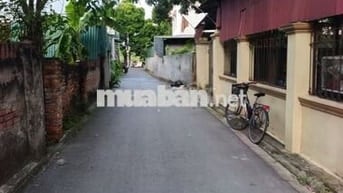 Bán đất Ngọc Động Đa Tốn - Ô tô tải đỗ cửa, hàng xóm Ocean Part 1