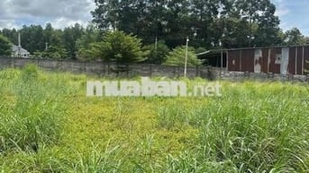 ĐẤT NỀN AN PHƯỚC – CƠ HỘI ĐẦU TƯ VÀ AN CƯ