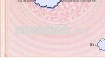Đất thổ cư 100% phong thủy tốt dễ đầu tư sinh lời- Long An