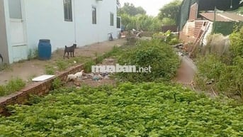 BÁN GẤP LÔ ĐẤT 5x20m HUỲNH THỊ MÀI, XÃ TÂN HIỆP, HÓC MÔN