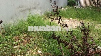 BÁN GẤP MẢNH  ĐẤT ĐẸP 40M2 CẠNH GAMUDA - NGÕ THOÁNG - Ô TÔ TRÁNH 10M