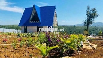 Tôi Chính Chủ Bán 5 lô đất. Xã lộc ngãi. Bảo Lộc