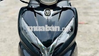SYM shark biển 71