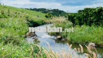 Ngộp nặng cần bán lỗ gấp lô 888m2 giá 339tr view suối cực đẹp