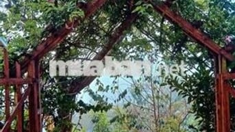 🌿 CHO THUÊ NHÀ NGUYÊN CĂN VIEW ĐỒI QUẠT GIÓ – CẦU ĐẤT, ĐÀ LẠT 🌿