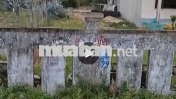 BÁN LÔ ĐẤT 2 MẶT TIỀN GẦN BIỂN LÀNG LÒ, PHÚ YÊN