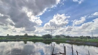 LÔ ĐẤT LÚA NGAY HẺM 1697 LÊ VĂN LƯƠNG NHƠN ĐỨC NHÀ BÈ.