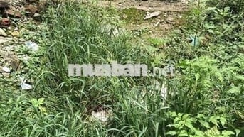 45M2 ĐẤT ĐẸP THÚY LĨNH, HOÀNG MAI, NGÕ THÊNH THANG, GẦN Ô TÔ, HƠN 5 TỶ