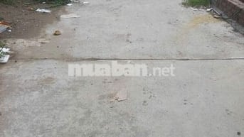 🏡 Bán đất liền kề đấu giá Ngũ Hiệp – Mảnh hiếm, vị trí đẹp