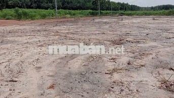 CHỈ CÒN VÀI SIÊU PHẨM ĐẤT NỀN MẶT TIỀN MINH THẠNH-HCM GIÁ CHỈ 150tr