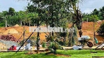 BÁN LÔ ĐẤT MẶT TIỀN TRẦN ĐẠI NGHĨA, PHƯỜNG LÂM VIÊN - ĐÀ LẠT