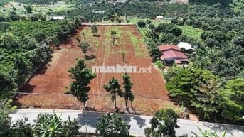 cần bán đất mặt tiền đường quốc lộ 725 đối diện cà phê mê linh