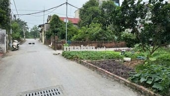 Bán đất thổ cư 86m², hướng Đông Nam, trung tâm Chi Đông, Mê Linh, Hà
