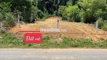 Bán đất thổ cư mặt đường Yangbay