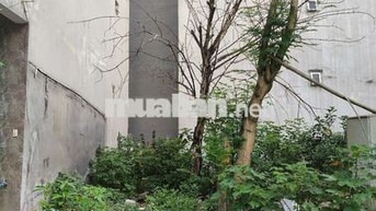 Bán đất dịch vụ Đìa Lão,Kiến Hưng. Dt 50m × Mt 5.6m. Giá nhỉnh 11 tỷ.