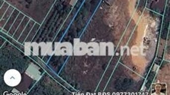 Đất mặt tiền 12m thổ cư 1150m2 An Viễn