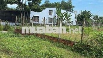 ĐẤT MẶT TIỀN ĐƯỜNG 377 - 915m2 15x61M ĐÃ CÓ THỔ CƯ