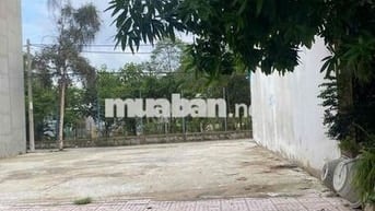 Chính chủ cần bán gấp đất mặt tiền Tắc Xuất TT Cần Thạnh, Cần Giờ 168m