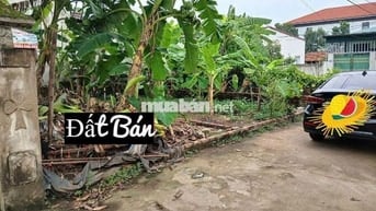 🌾🌾Đất đẹp 52m2 Ninh Nội, Tân Dân Ngõ Thông, Ô Tô 🚘 vào đất, gần QL2A