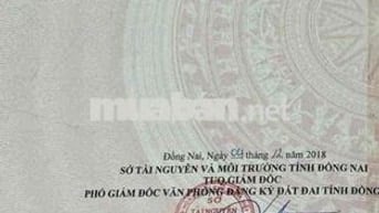 Đất Thổ Cư Đường Phùng Hưng 1 Sẹc Cạnh Bên Trường Tiểu Học