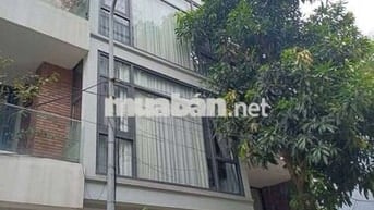 Bán siêu phẩm mặt tiền 5m,phân lô Dương Nội,Hà Đông giá nhỉnh 15 tỷ