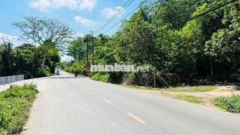 CHÚ BA CÓ NHỜ GỬI BÁN LÔ ĐẤT 359M2/500TR 200M2 THỔ CƯ SHR MT ĐƯỜNG LỚN
