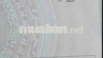 💥 ĐẤT 89m² (4,5x20)  – HƯỚNG BẮC – THUẬN GIAO 31 – GIÁ 1 TỶ 850 💥
