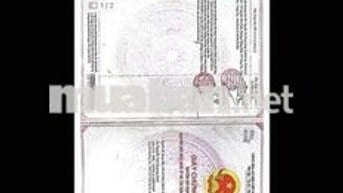 Bán lô đất tỉnh lộ 43 phường Bình Chiểu tp Thủ Đức