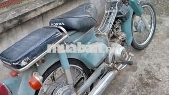 Xe cub 81 50cc