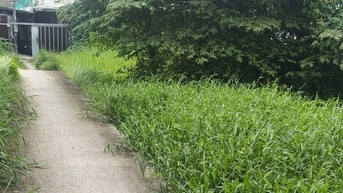 Bán đất chính chủ 1300m2 (Thổ cư 1000m2) đường oto Trường thọ Thủ Đức 