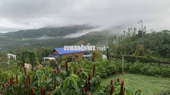 Booking Đợt 1 - Giá F0 - 1,95 tỷ/ Lô 1000m2 - Cách Cao Tốc 8p