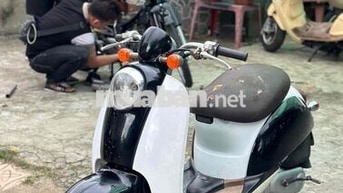 scoopy 50cc nội địa nhật
